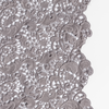 Allora Bed Scarf | Moonlight | a close up of cotton all-over lace with a scalloped edge.