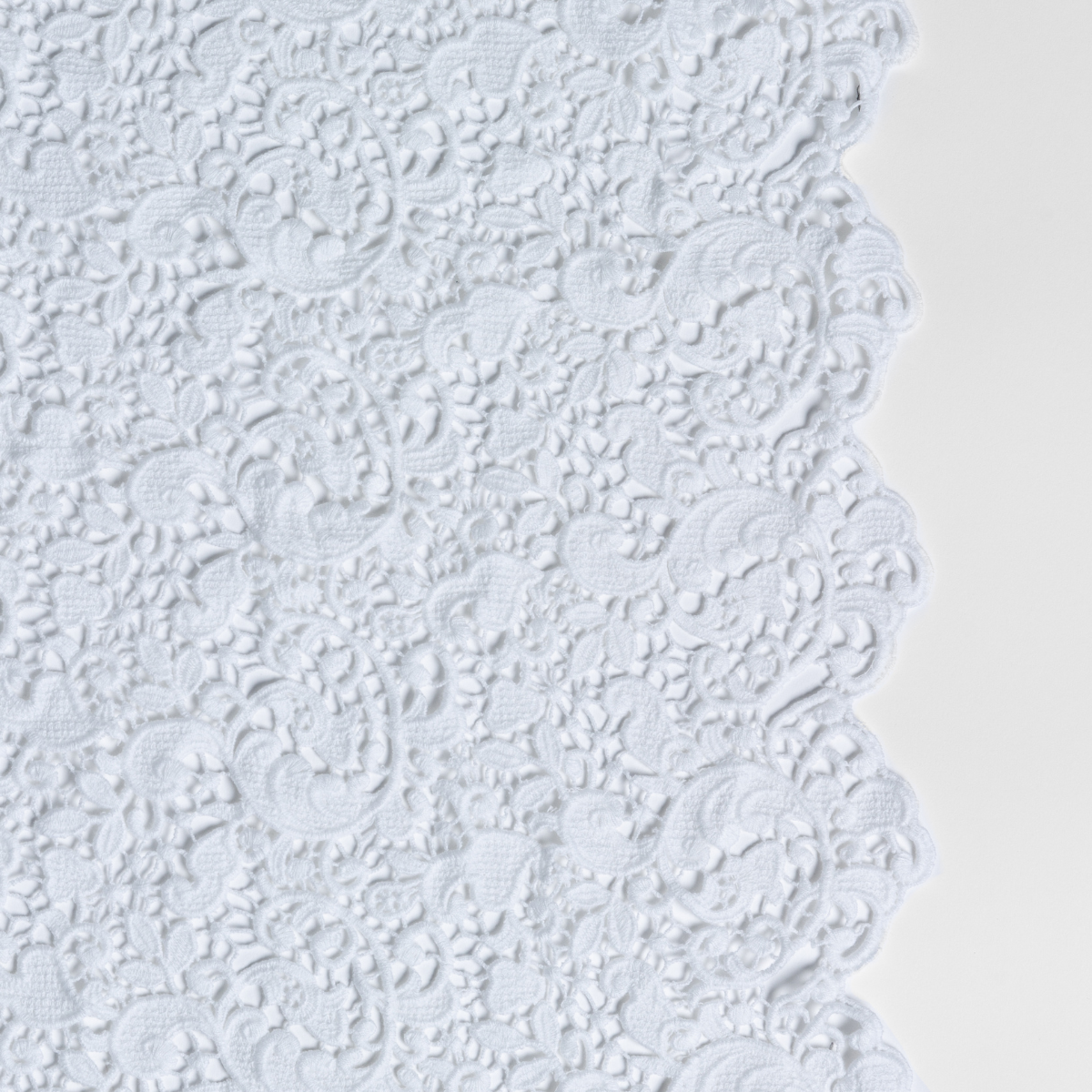 White: a close-up of cotton all-over lace with a scalloped edge.