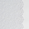 Allora Lace Throw Pillow | Winter White | a close-up of cotton all-over lace with a scalloped edge.