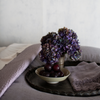Mattine Guest Towel | a guest towel shown with a bowl of fruit and fresh flowers on a tray set on a monochromatic bed.