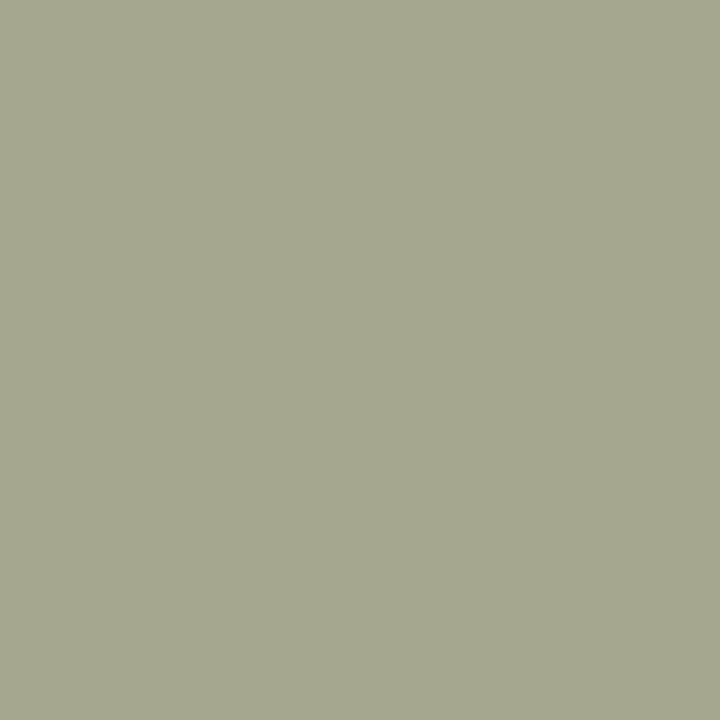 Color Swatches | #a6a78f