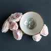 Akoya Shell Buttons
