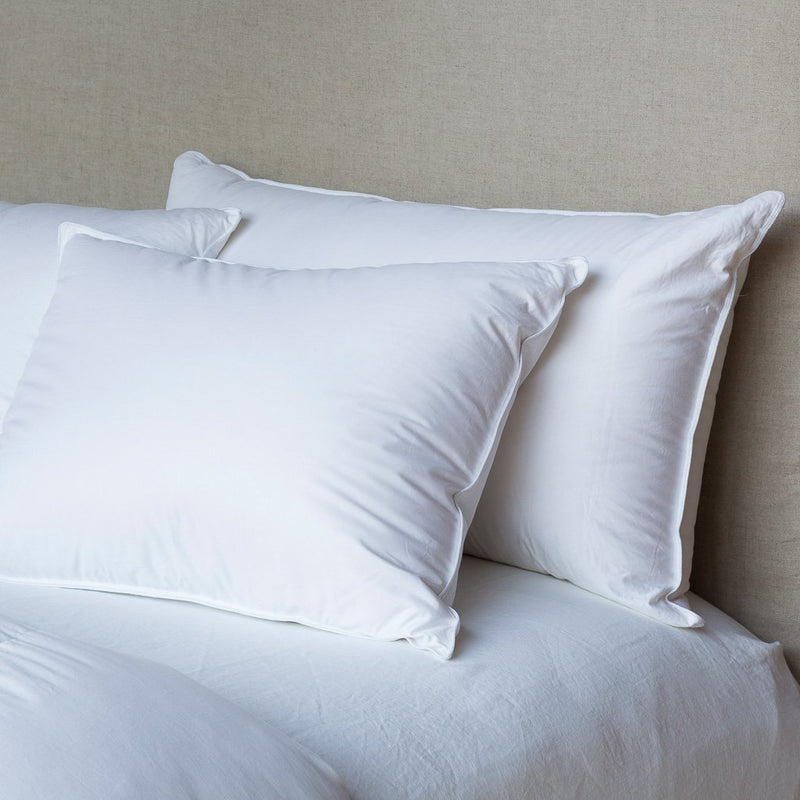 Divine Down Pillow and Sham Insert | King