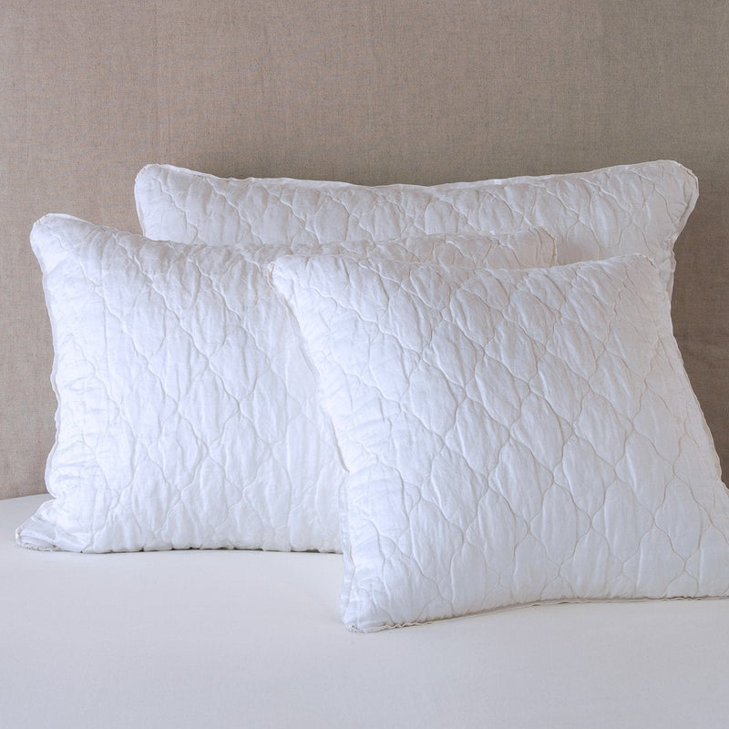 Luna Sham Bella Notte Linens