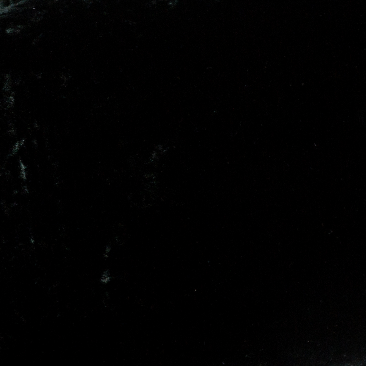 Silk Velvet Swatch Card | Juniper | A close up of silk velvet fabric in Juniper, a deep green tone.