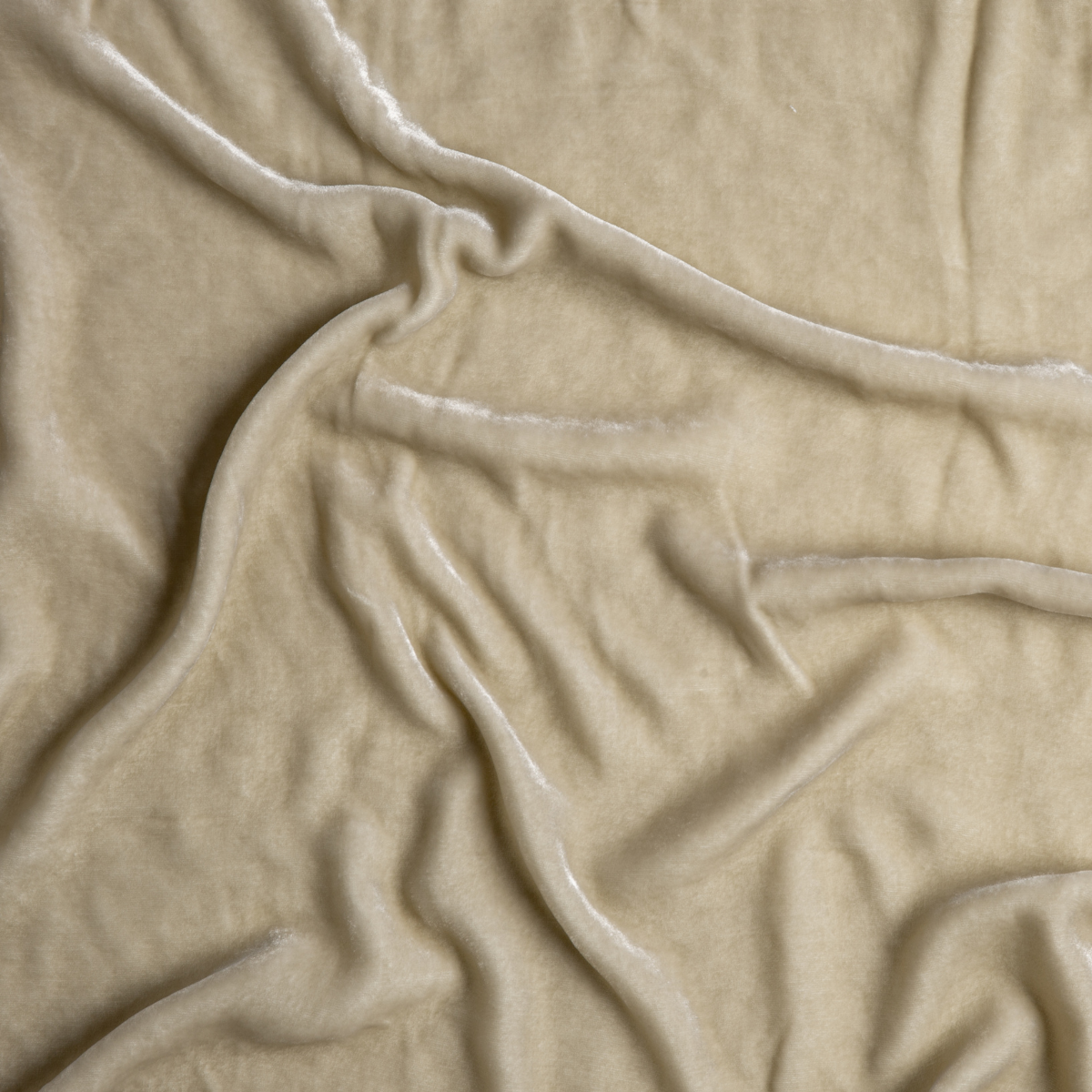 Carmen Throw Pillow | Parchment | A close up of silk velvet fabric in parchment, a warm, antiqued cream.